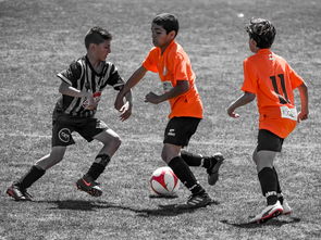 华体会体育官方-NBA球员训练营活动，nba球员训练营活动安排