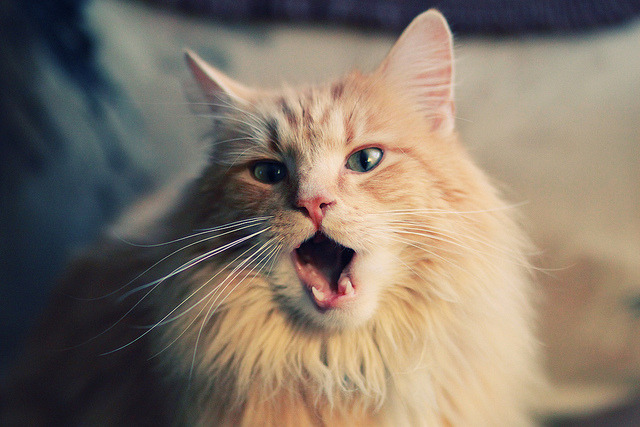 华体会网页版-意甲前场进攻压迫效率与对手失误率之间的多变量分析，意甲球迷冲场