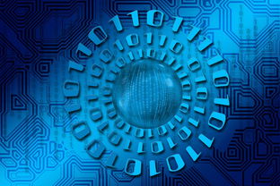 华体会官网体育-关键一战：谁能赢得晋级的最后一搏？，关键一战 同义词